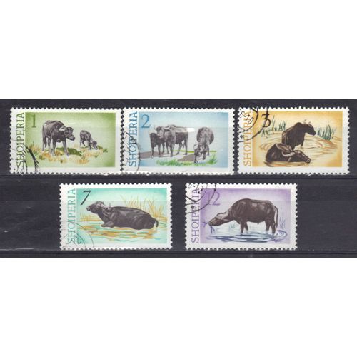 Albanie 1965 : Buffles Des Marais - Série Entière De 5 Timbres Oblitérés