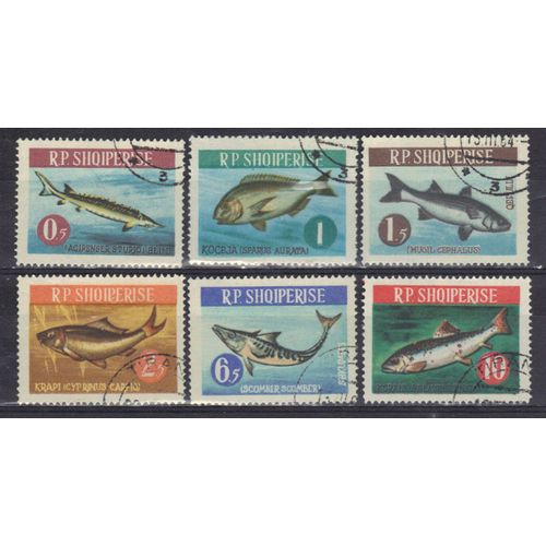 Albanie 1964 : Poissons Divers - Série Entière De 6 Timbres Oblitérés
