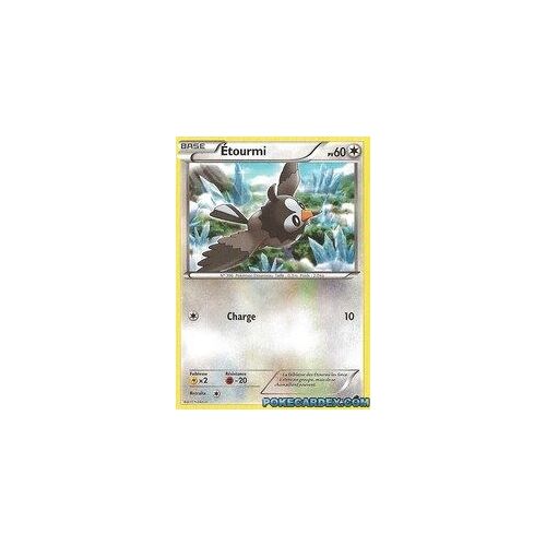 Carte Pokemon Glaciation Plasma Etourmi 95/116 Francaise