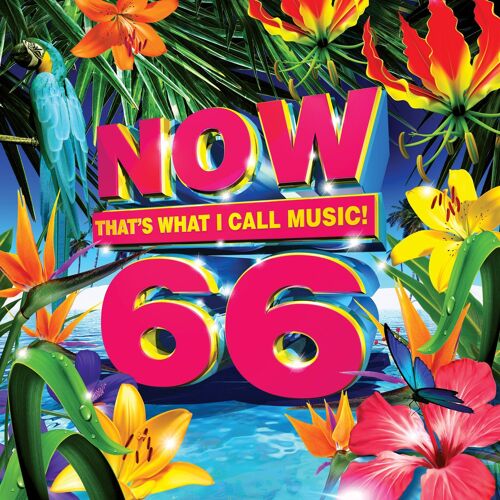 Now That?S What I Call Music! 66