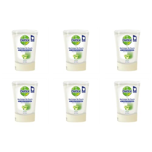 Dettol Lot De 6 Flacons De 250 Ml Recharge Savon No Touch Aloe Vera 