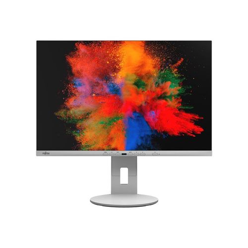 Fujitsu B2410 WE - Écran LED - 24.1" - 1920 x 1200 WUXGA - IPS - 300 cd/m² - 1000:1 - 5 ms - HDMI, DVI-D, VGA, DisplayPort - haut-parleurs - Gris marbré