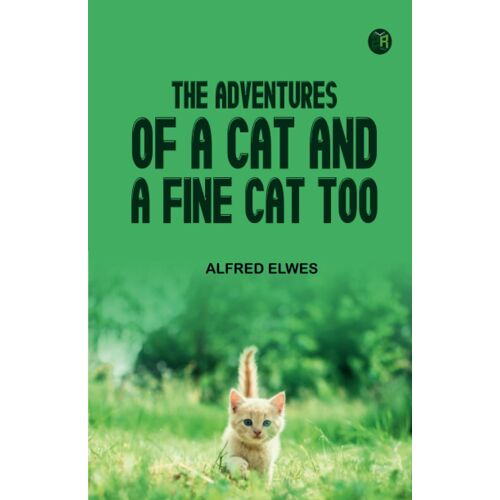 The Adventures Of A Cat And A Fine Cat Too!