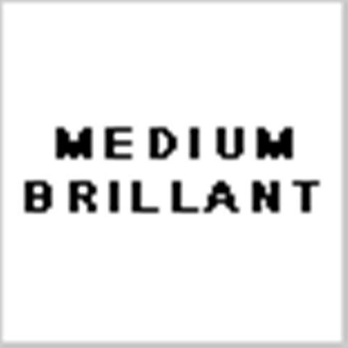 Brillant Moyen 190 / 470 Pot De Peinture Acrylique 17ml - Prince August