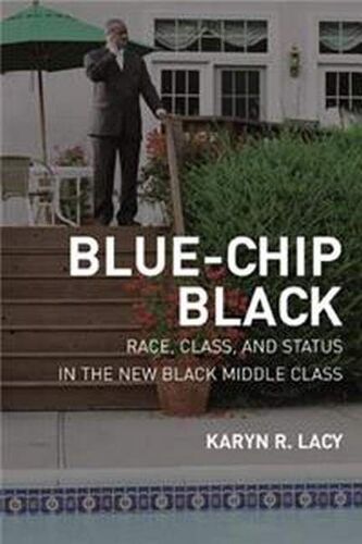 Blue-Chip Black: Race, Class, And Status In The New Black Middle Class (Paperback - 2007)