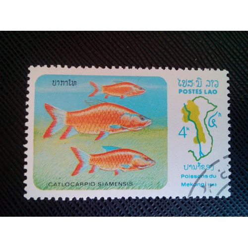 Timbre Laos Yt 496 Carpe Géante (Catlocarpio Siamensis) 1983 ( 10040305 )