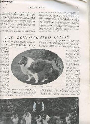Country Life August 10th 1907 - Incomplet - The Rough-Coated Collie - Mr.Peterson The Burglar - Racing At Goodwood - A Book Of The Week - The Heron - Disposal Of Sewage In Country Houses - In The(...)