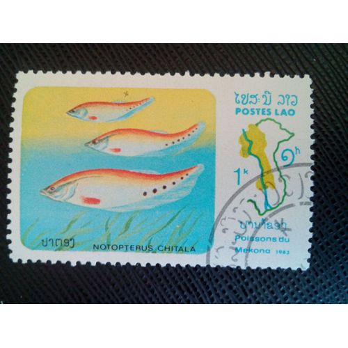 Timbre Laos Yt 493 Dos Plume Indienne (Notopterus Chitala) 1983 ( 10040305 )