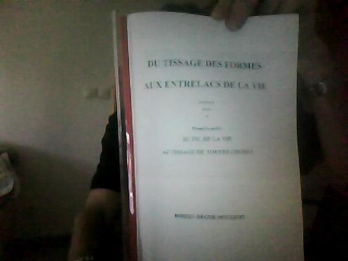 Du Tissage Des Formes Aux Entrelacs De La Vie