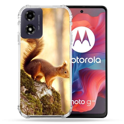 Coque Renforcée Pour Motorola G04 4g Animal Ecureuil Bois