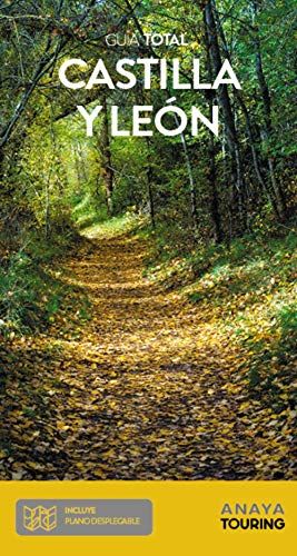 Castilla Y León (Spanish Edition)