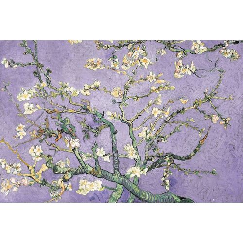 Vinent Van Gogh - Purple Blossom - Affiche / Poster Envoi En Tube