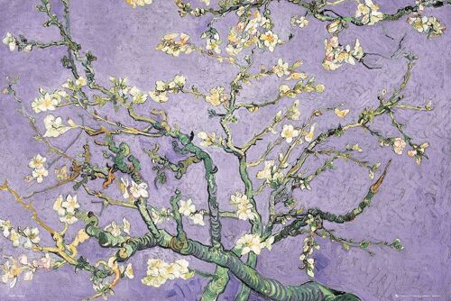 Vinent Van Gogh - Purple Blossom - Affiche / Poster Envoi En Tube