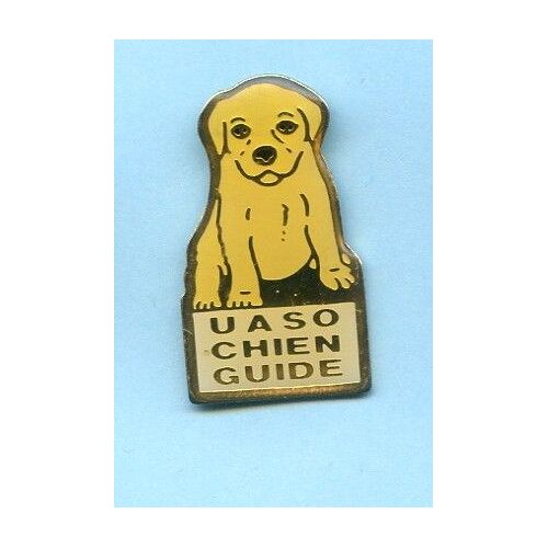 Pins  Uaso  Chien Guide  E432