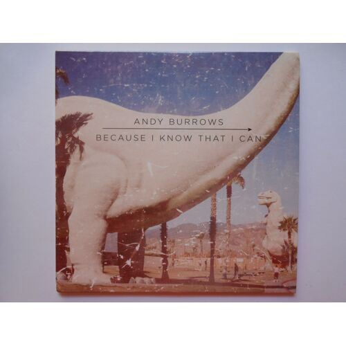 Andy Burrows : Because I Know That I Can (+ Instru) - [ Cd Single Collector ]