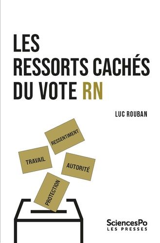 Les Ressorts Cachés Du Vote Rn