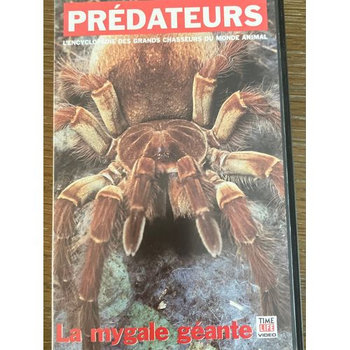 Collection Les Prédateurs , La Mygale Géante, Time Life Vidéo 