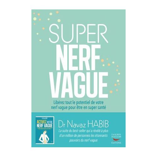 Super Nerf Vague