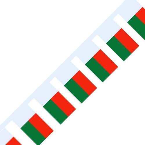 Guirlande Drapeau de Madagascar en 20 pièces 14x21cm