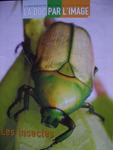 La Documentation Par L'image  N° 153 : Les Insectes