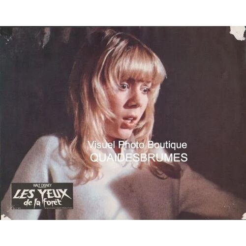 Les Yeux De La Forêt, Walt Disney: Jeu A De 6 Photos D'exploitation Cinématographique - Format 23.5x30 Cm - De John Hough Avec Bette Davis, Lynn-Holly Johnson, Kyle Richards, Carroll Baker - 1980