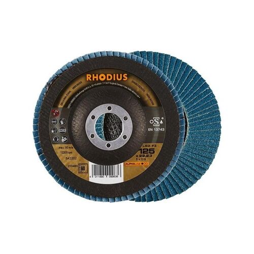 Disque à lamelles LSZ F3125mm K 60 Rhodius