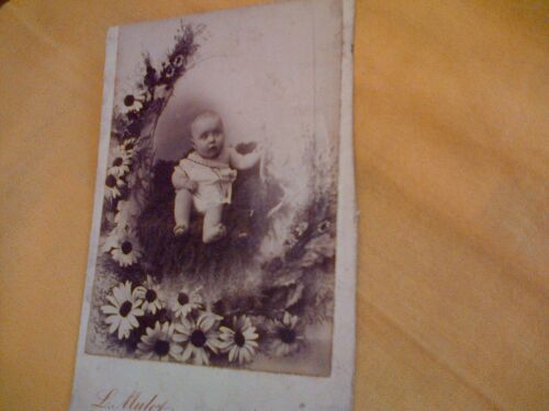 Photo Ancienne De Bébé 1905