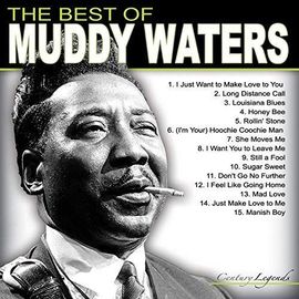 The Best Of Muddy Waters - Vinyle 33 Tours