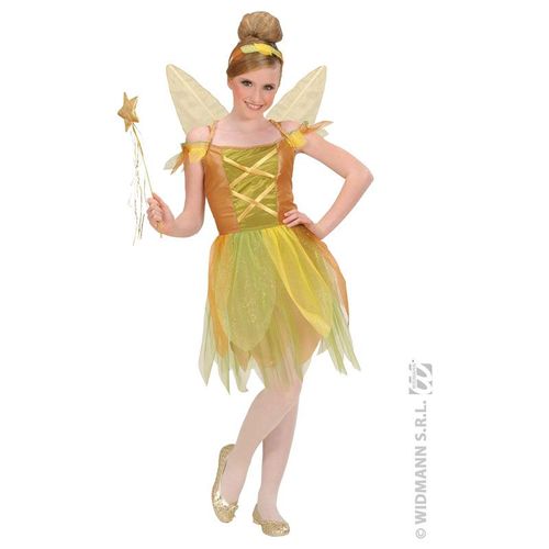 Deguisement Fée Des Bois Sd 128