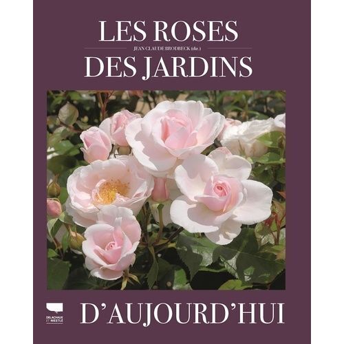 Les Roses Des Jardins D'aujourd'hui