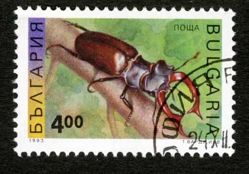 Timbre Oblitéré Bulgaria, 1993, 4,00