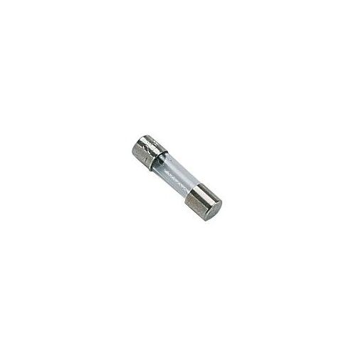 Fusible 250v 0.315a temporisé (X 10) - DIFF pour Chaffoteaux : 61307845