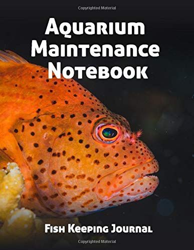 Aquarium Maintenance Notebook Fish Keeping Journal: Tank Aquarium Log Book | Orange Fish Close-Up (Aquarium Fish And Corals)