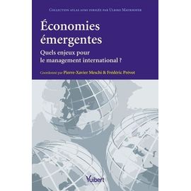 Economies Émergentes - Quels Enjeux Pour Le Management International ?