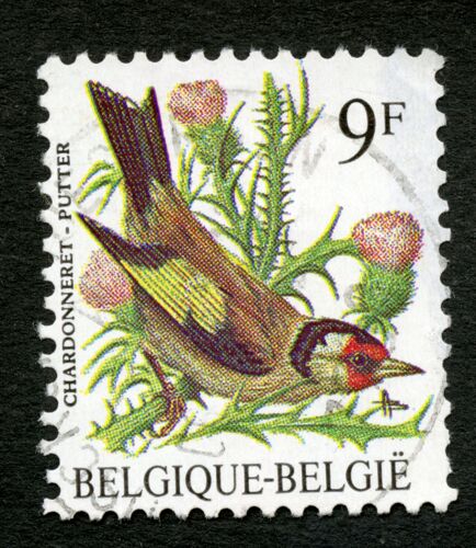 Timbre Oblitéré Belgique, Belgie, Chardonneret , Putter, 9 F