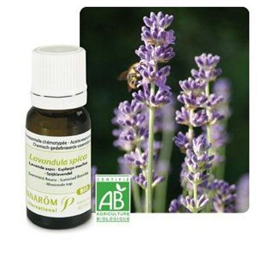 Pranarom Huile Essentielle Lavande Aspic Bio - 10 Ml 