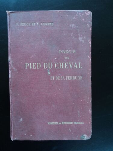 Precis Du Pied Du Cheval Et De Sa Ferrure