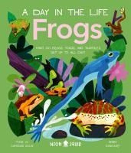Frogs (A Day In The Life)