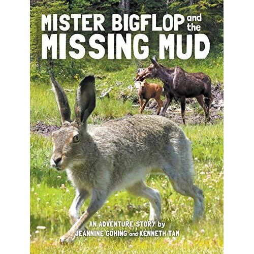 Mister Bigflop And The Missing Mud