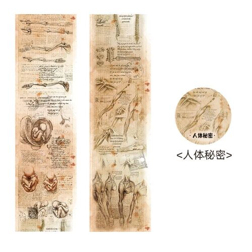 Bande Washi Vintage, Ruban Masquage Japonais Antique, Décoratif Pour Scrapbooking, Fournitures Pour Journaux Planificateur