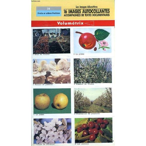 Images Autocollantes Volumetrix, N° 24, Fruits Et Arbres Fruitiers