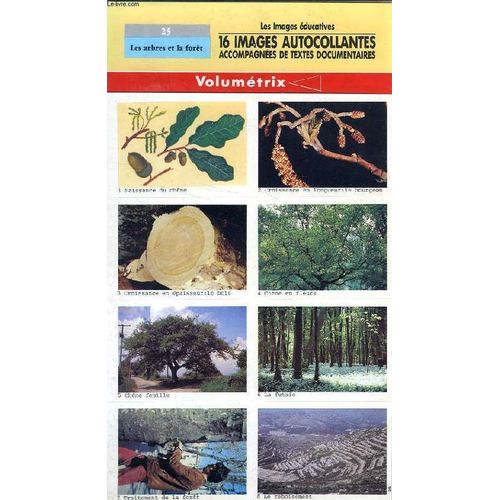 Images Autocollantes Volumetrix, N° 25, Les Arbres De La Foret