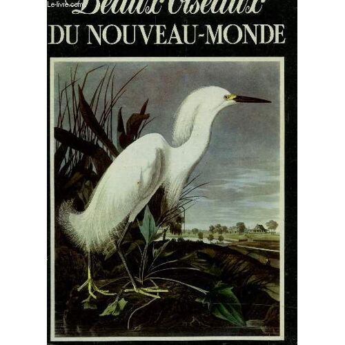 Beaux Oiseaux Du Nouveau Monde.