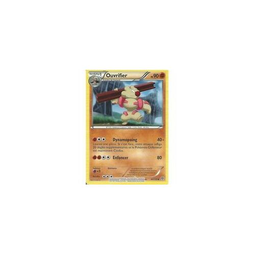 Pokemon Tempete Plasma Ouvrifier 80/135