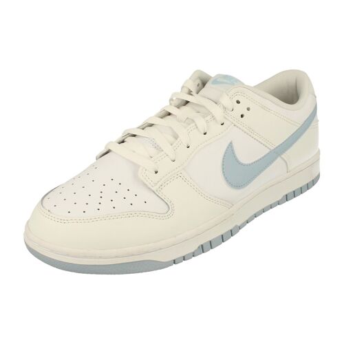 Nike Dunk Low Retro Hommes Trainers Dv0831 109 - 45