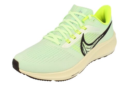 Nike Air Zoom Pegasus 39 Hommes Dh4071 301
