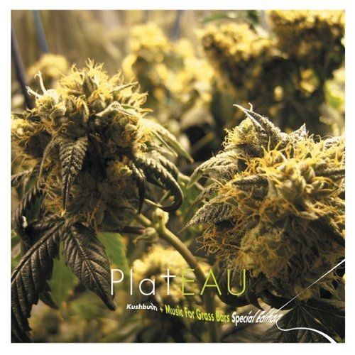 Kushbush+Music For..