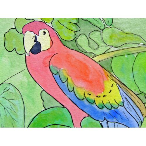 Aquarelle Oiseau