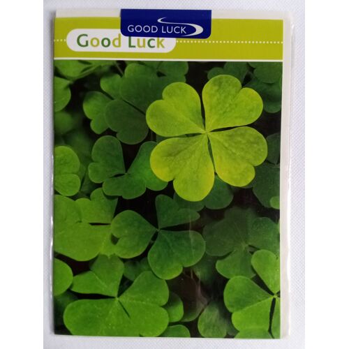 Carte De Voeux - Good Luck / Bonne Chance - Carte Double + Enveloppe (Riverside Cards, Anglais, Trèfle À 4 Feuilles)
