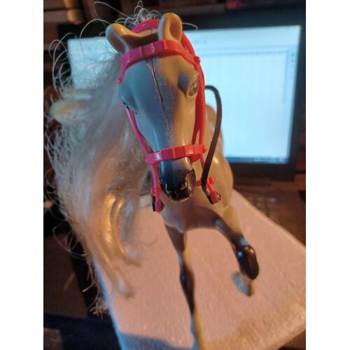 Cheval Gris Tachete De Blanc